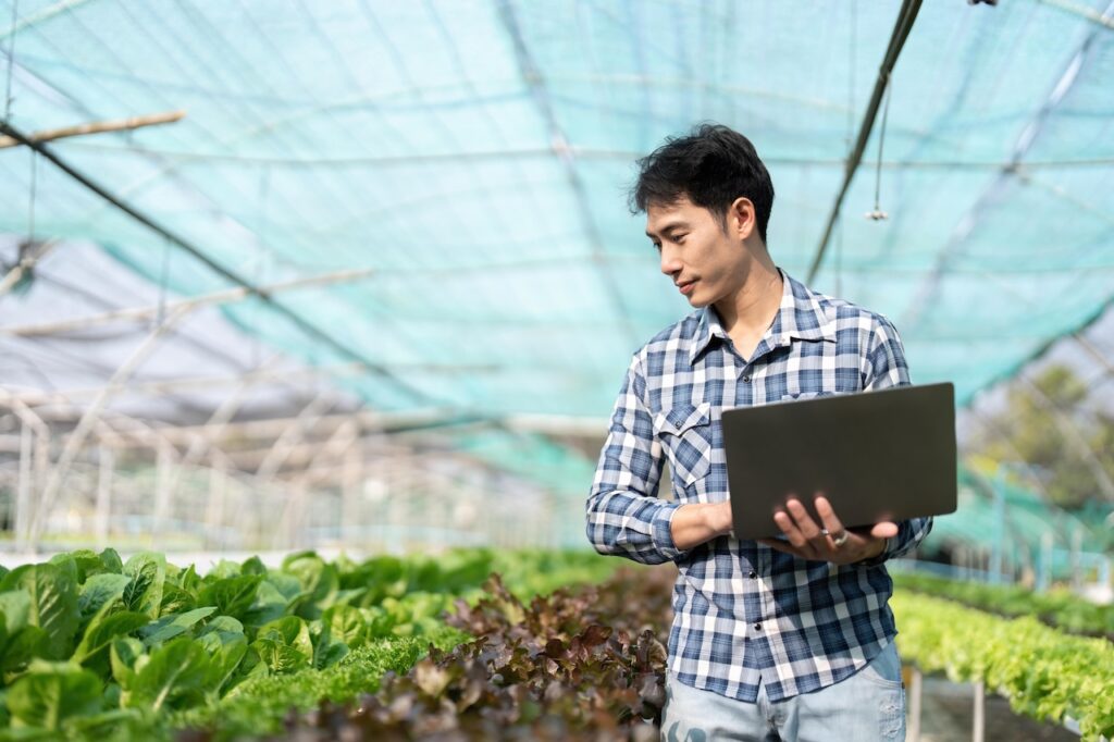 employee using aws for agriculture business